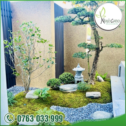 CÔNG TY TNHH TM DV NGUYỄN GARDEN
